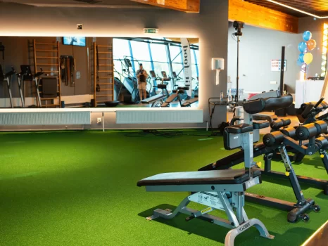 Lemon gym Ozas